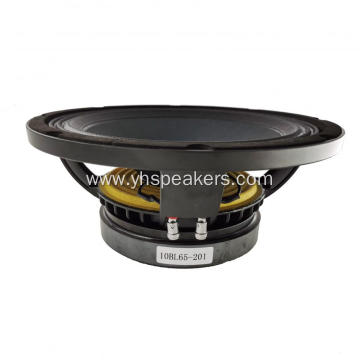 Professional 10 Inch Music DJ Speaker